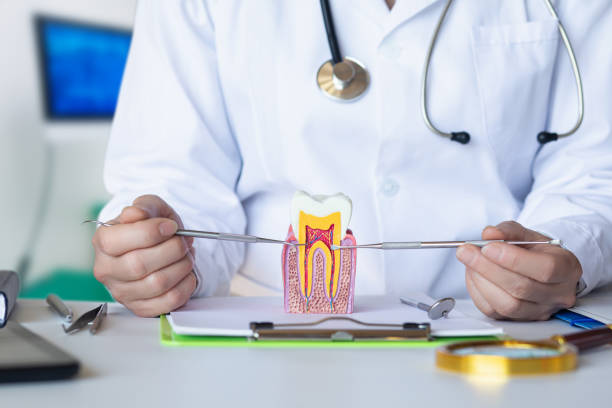 Best Emergency Treatment for Oral Infections in New Ellenton, SC